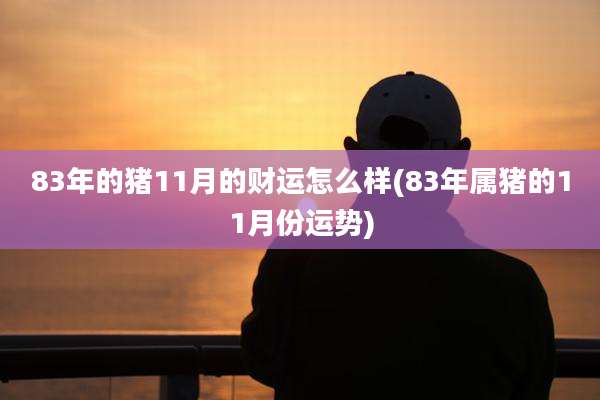 83年的猪11月的财运怎么样(83年属猪的11月份运势)