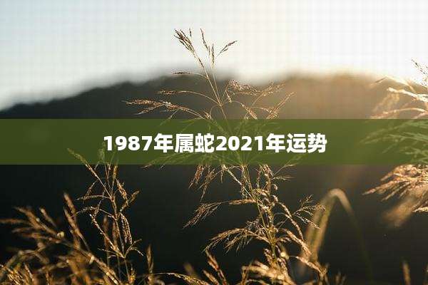 1987年属蛇2021年运势