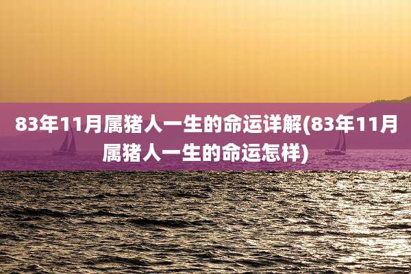 83年11月属猪人一生的命运详解(83年11月属猪人一生的命运怎样)