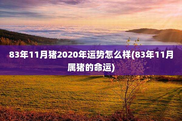 83年11月猪2020年运势怎么样(83年11月属猪的命运)