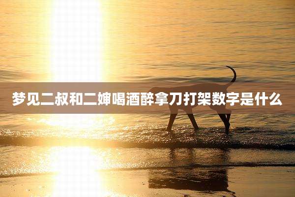 梦见二叔和二婶喝酒醉拿刀打架数字是什么