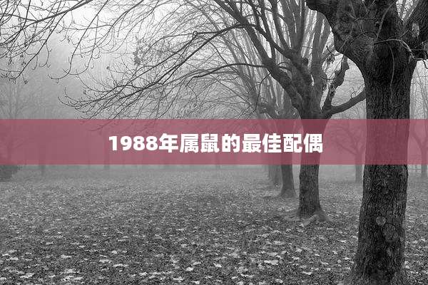 1988年属鼠的最佳配偶