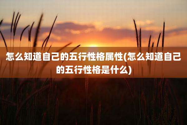 怎么知道自己的五行性格属性(怎么知道自己的五行性格是什么)