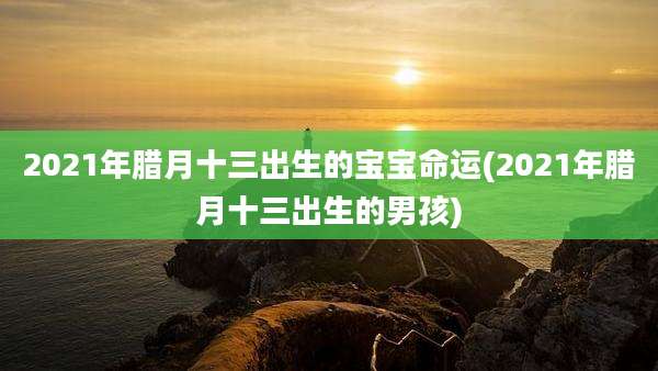 2021年腊月十三出生的宝宝命运(2021年腊月十三出生的男孩)