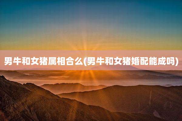 男牛和女猪属相合么(男牛和女猪婚配能成吗)
