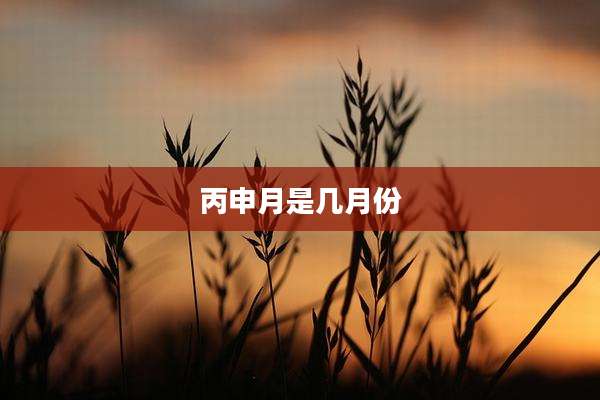 丙申月是几月份