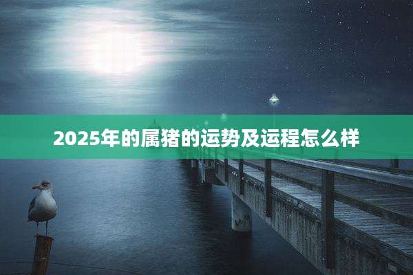 2025年的属猪的运势及运程怎么样
