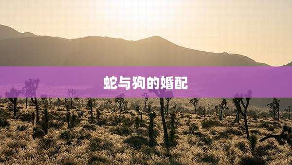 蛇与狗的婚配