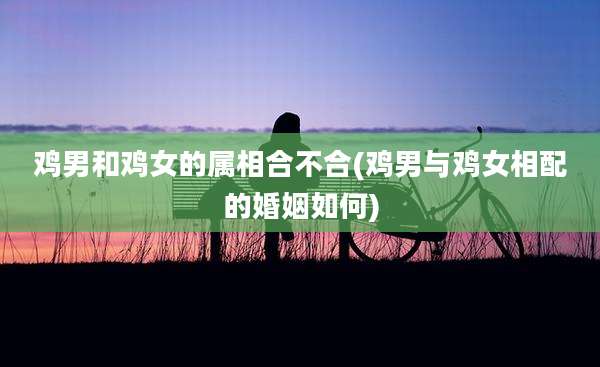 鸡男和鸡女的属相合不合(鸡男与鸡女相配的婚姻如何)