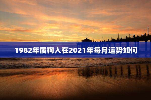 1982年属狗人在2021年每月运势如何