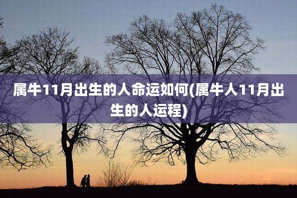 属牛11月出生的人命运如何(属牛人11月出生的人运程)