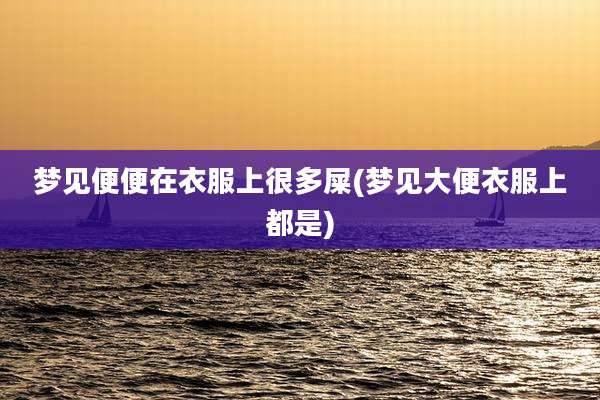 梦见便便在衣服上很多屎(梦见大便衣服上都是)