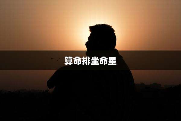 算命排坐命星