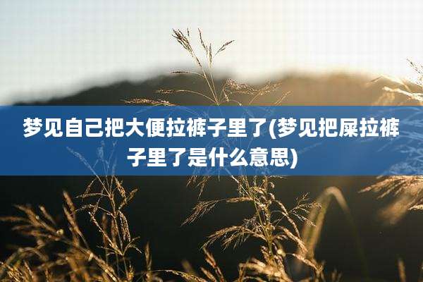 梦见自己把大便拉裤子里了(梦见把屎拉裤子里了是什么意思)