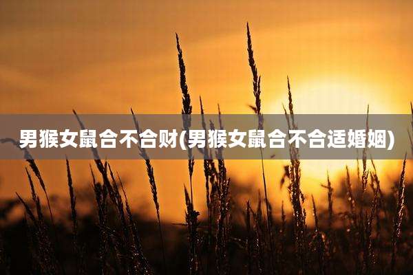 男猴女鼠合不合财(男猴女鼠合不合适婚姻)