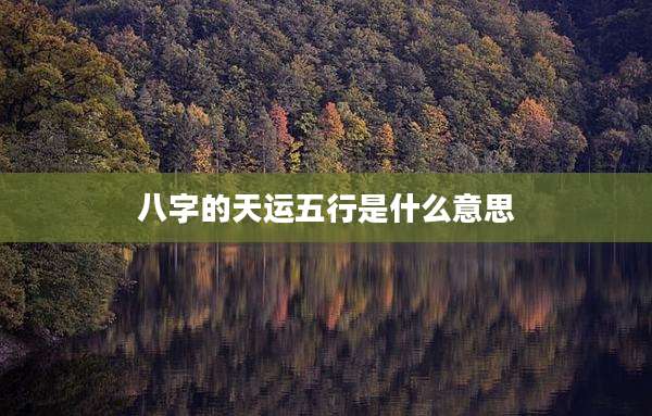 八字的天运五行是什么意思
