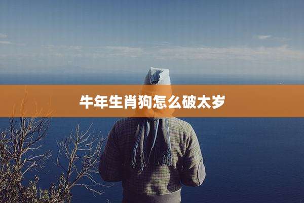 牛年生肖狗怎么破太岁
