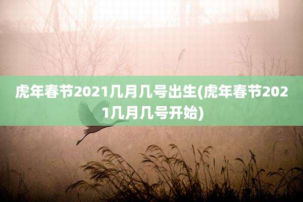 虎年春节2021几月几号出生(虎年春节2021几月几号开始)