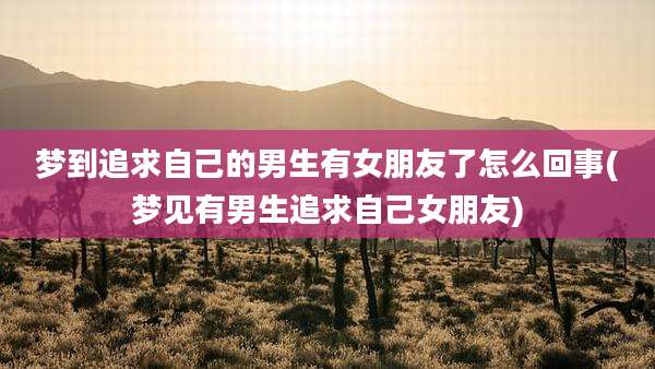 梦到追求自己的男生有女朋友了怎么回事(梦见有男生追求自己女朋友)