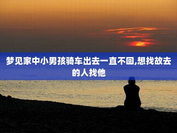 梦见家中小男孩骑车出去一直不回,想找故去的人找他