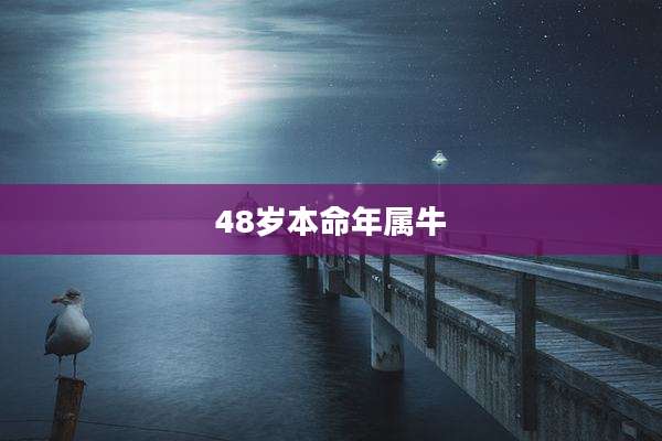 48岁本命年属牛