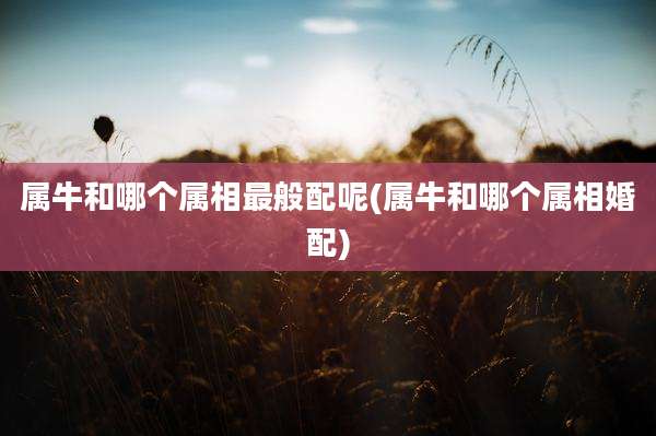 属牛和哪个属相最般配呢(属牛和哪个属相婚配)