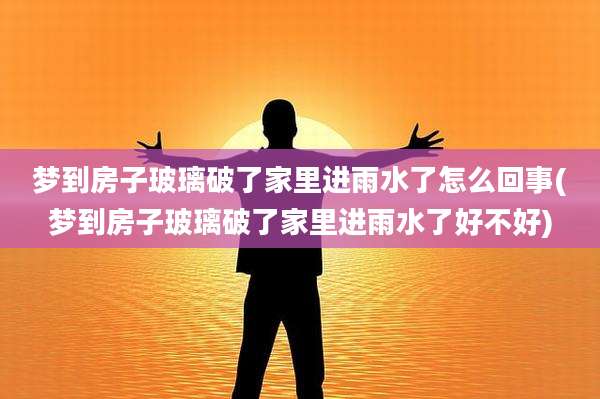 梦到房子玻璃破了家里进雨水了怎么回事(梦到房子玻璃破了家里进雨水了好不好)