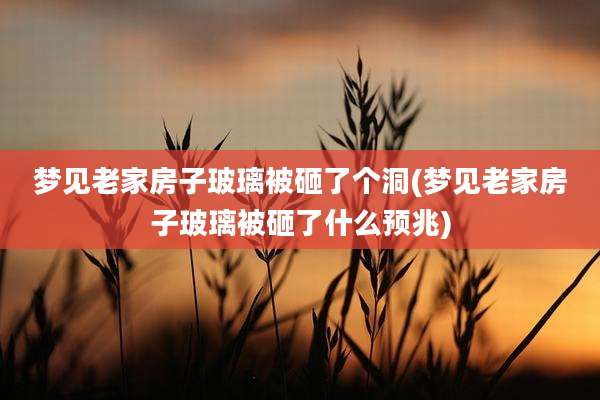 梦见老家房子玻璃被砸了个洞(梦见老家房子玻璃被砸了什么预兆)