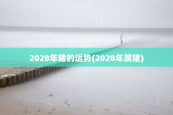 2028年猪的运势(2028年属猪)
