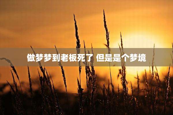 做梦梦到老板死了 但是是个梦境