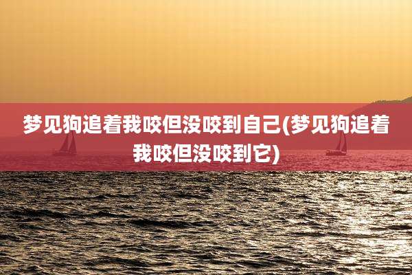 梦见狗追着我咬但没咬到自己(梦见狗追着我咬但没咬到它)