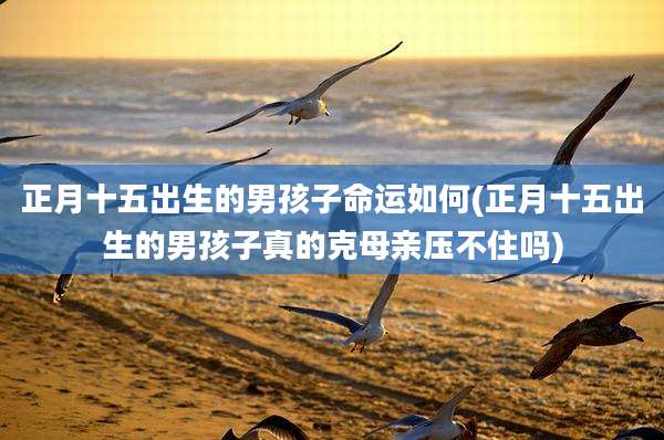 正月十五出生的男孩子命运如何(正月十五出生的男孩子真的克母亲压不住吗)