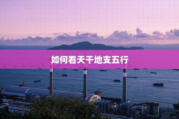 如何看天干地支五行