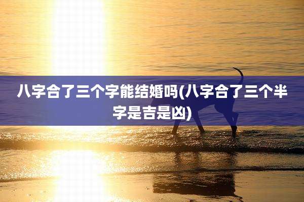 八字合了三个字能结婚吗(八字合了三个半字是吉是凶)