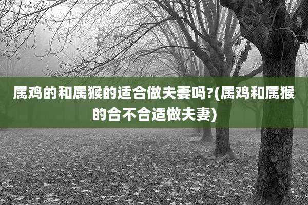 属鸡的和属猴的适合做夫妻吗?(属鸡和属猴的合不合适做夫妻)