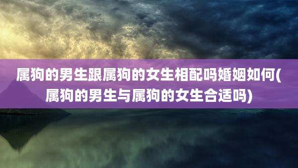 属狗的男生跟属狗的女生相配吗婚姻如何(属狗的男生与属狗的女生合适吗)