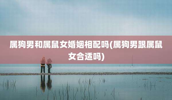 属狗男和属鼠女婚姻相配吗(属狗男跟属鼠女合适吗)