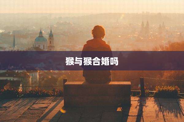 猴与猴合婚吗