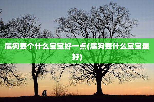 属狗要个什么宝宝好一点(属狗要什么宝宝最好)