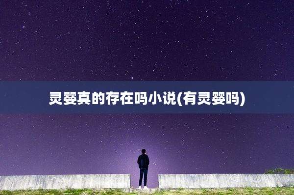 灵婴真的存在吗小说(有灵婴吗)