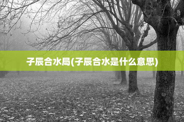 子辰合水局(子辰合水是什么意思)