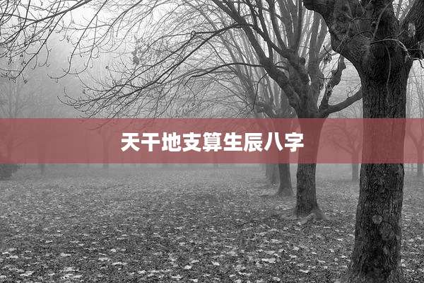 天干地支算生辰八字