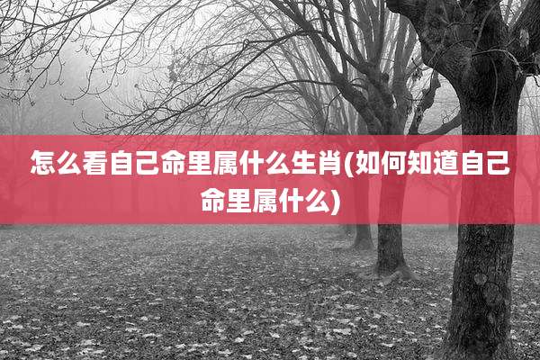 怎么看自己命里属什么生肖(如何知道自己命里属什么)