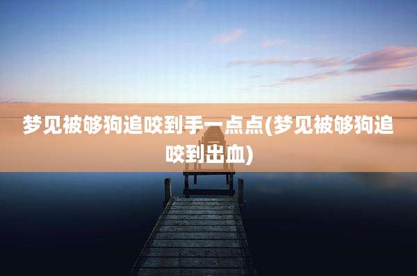 梦见被够狗追咬到手一点点(梦见被够狗追咬到出血)