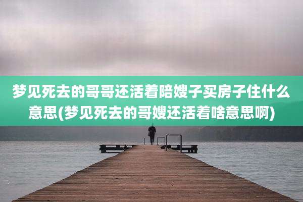 梦见死去的哥哥还活着陪嫂子买房子住什么意思(梦见死去的哥嫂还活着啥意思啊)