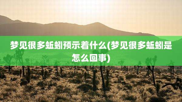 梦见很多蚯蚓预示着什么(梦见很多蚯蚓是怎么回事)