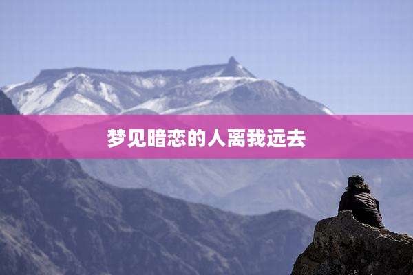 梦见暗恋的人离我远去