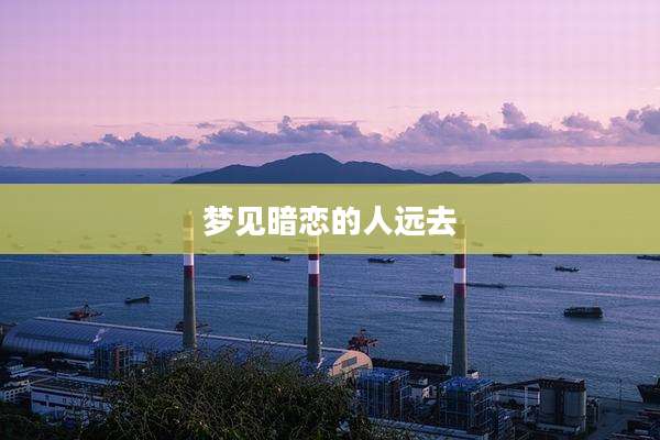 梦见暗恋的人远去