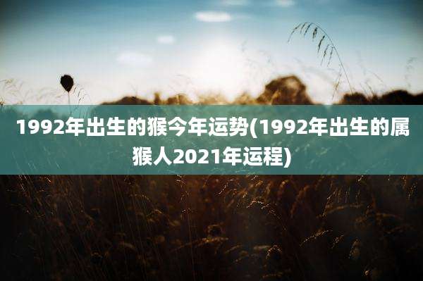 1992年出生的猴今年运势(1992年出生的属猴人2021年运程)