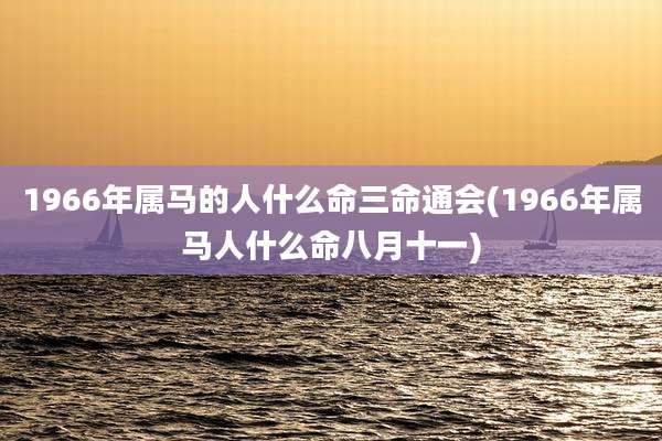 1966年属马的人什么命三命通会(1966年属马人什么命八月十一)